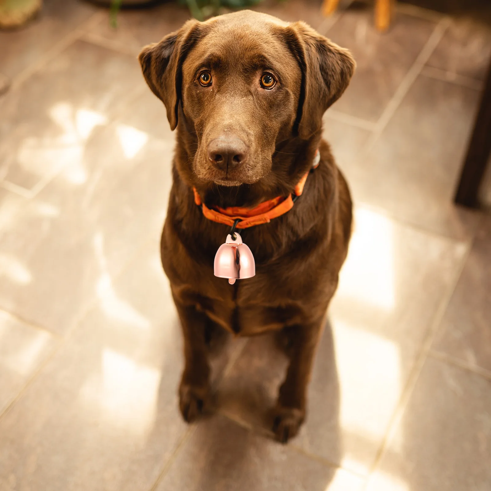 

Anti-Lost Animal Rose Gold Metal Cattle For Pet Collar Farming Livestock Bells Sheep Horse Bells Grazing Supplies