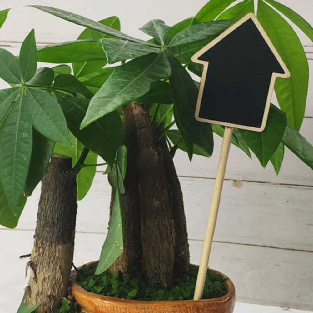 

20 Pcs Wooden Decorative Panel Markers for Garden Gardening Indoor Plant Plants Planter Signs Chalkboard Label