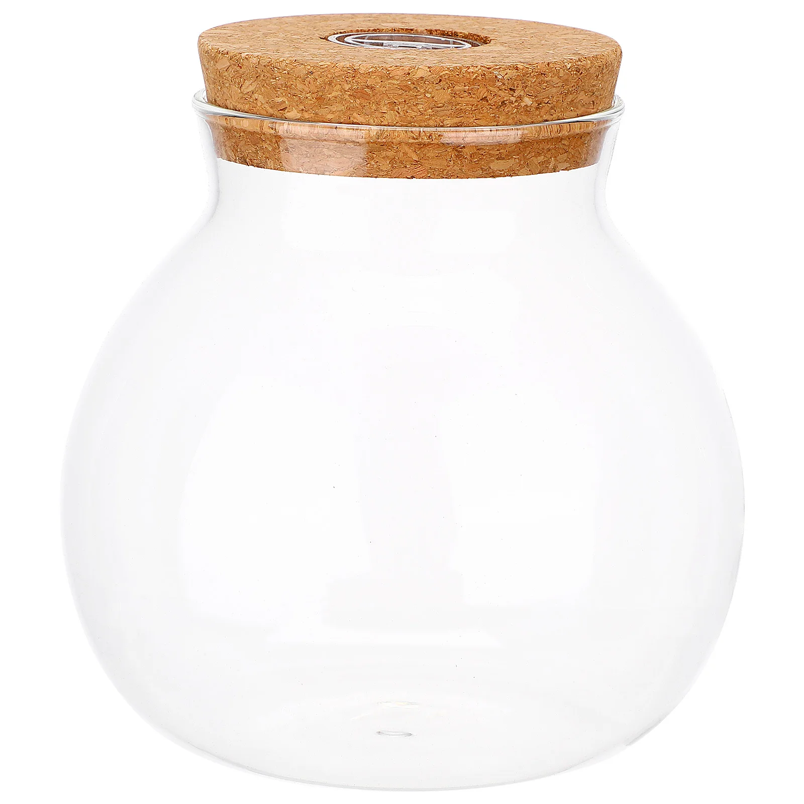 

LED Light Ecological Bottle Glass Bottle with Wooden Lid Borosilicate Fish Tank Micro Landscape DIY Decorative Vase