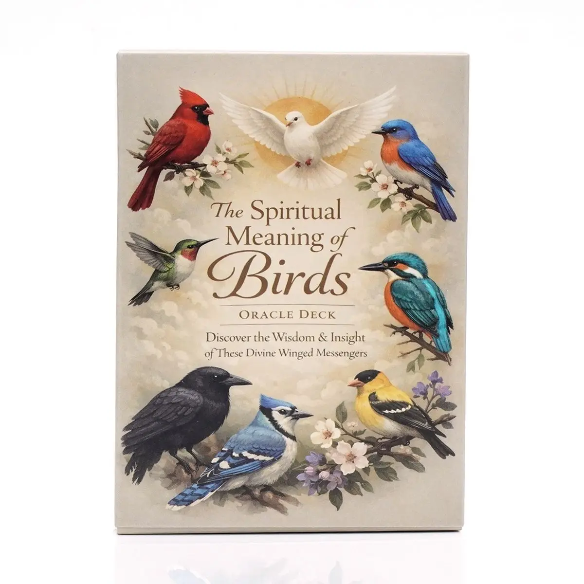 The Spiritual Meaning of Birds Oracle Deck, 50 Pcs Nature-Inspired Fortune Telling Cards for Insight & Wisdom