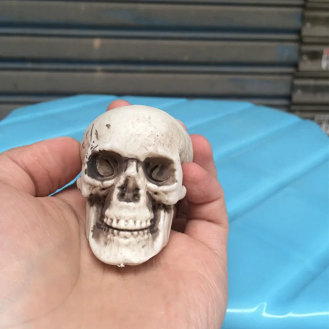 

6Pcs Mini Crafts Halloween Skulls Decor Plastic Small Human Body Model Models Scary Props Fake Skulls Halloween Decorations