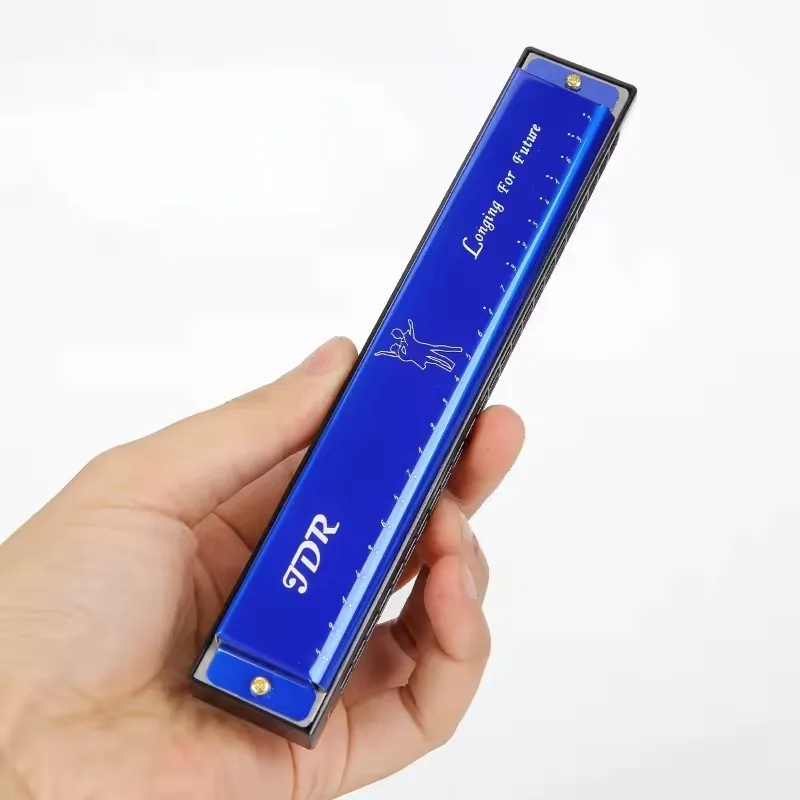 Upgraded Version 24 Holes Octave-tuned Harmonica,metal Harmonica Key of C with Case Mouth Metal Organ for Beginners Instruments