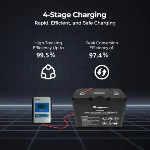 EPEVER 30A MPPT Solar Charge Controller Battery Voltage 12V 24V Identify Max PV Input 100V