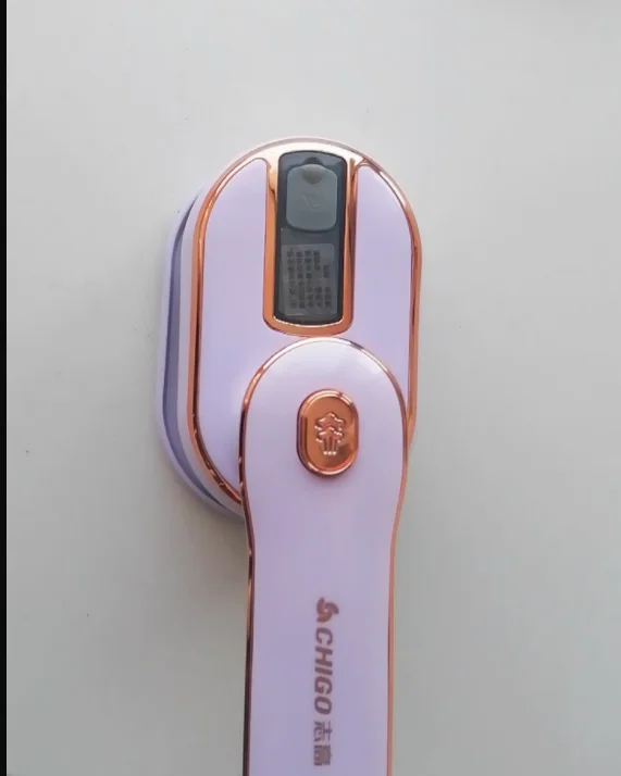 220V ZhiGao Handheld Steamer Portable Garment Iron for Home Use with Large Steam AC