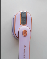 220V ZhiGao Handheld Steamer Portable Garment Iron for Home Use with Large Steam AC