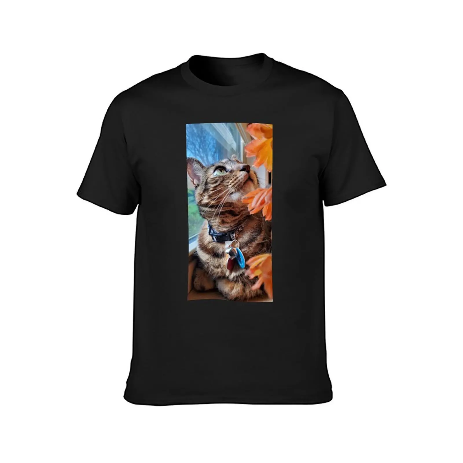 Chance the Cat T-Shirt quick-drying new edition t shirts for men cotton