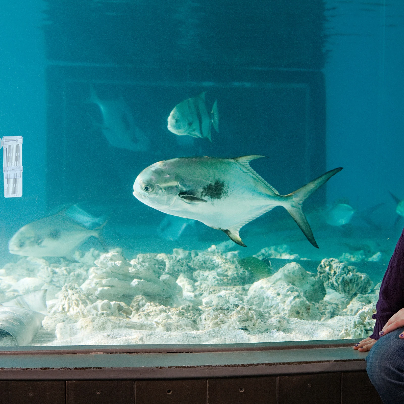 Hatching Box Fish Incubator Aquarium Tank Plastic Divider Breeding Ornamental Guppy