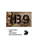 Luminous patch 4