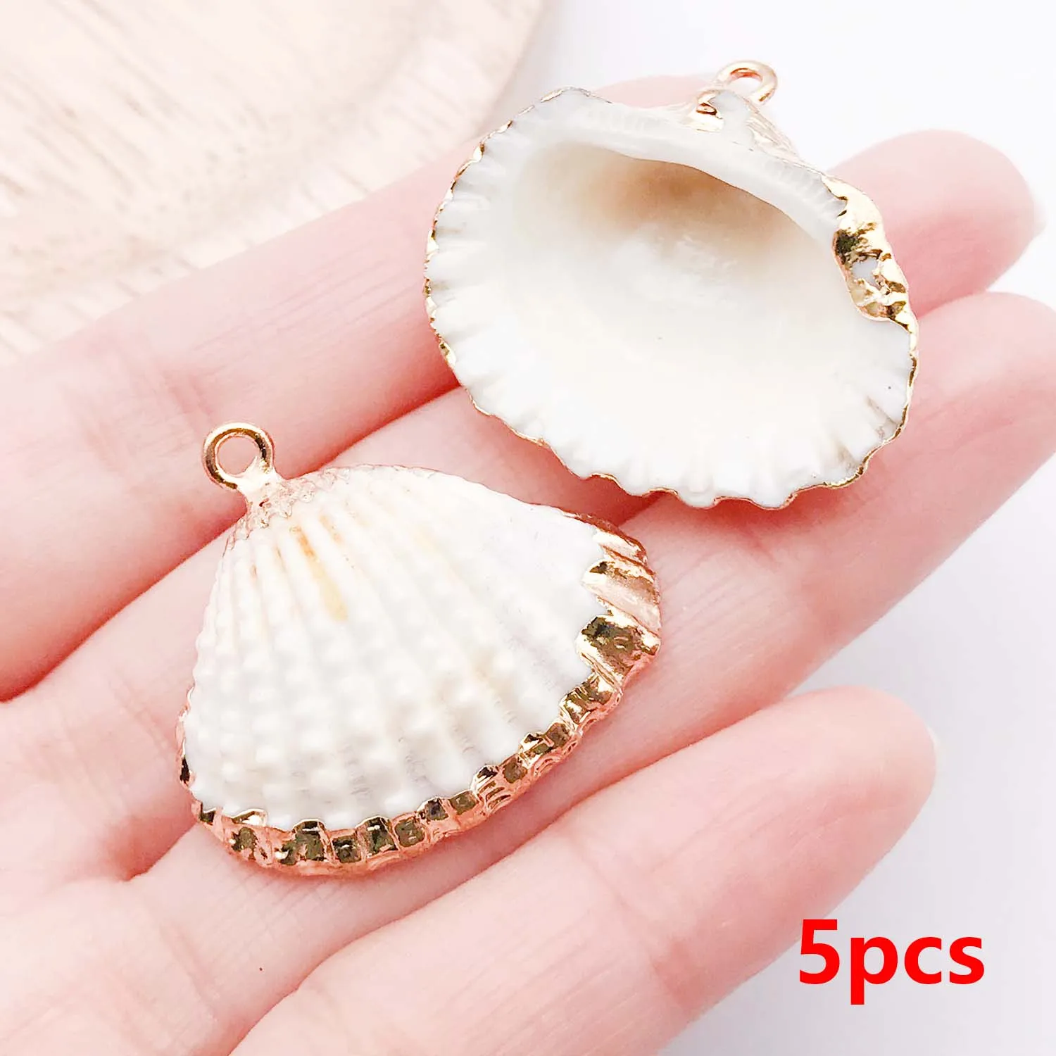 5pcs Natural Seashell Charms for DIY Jewelry Making