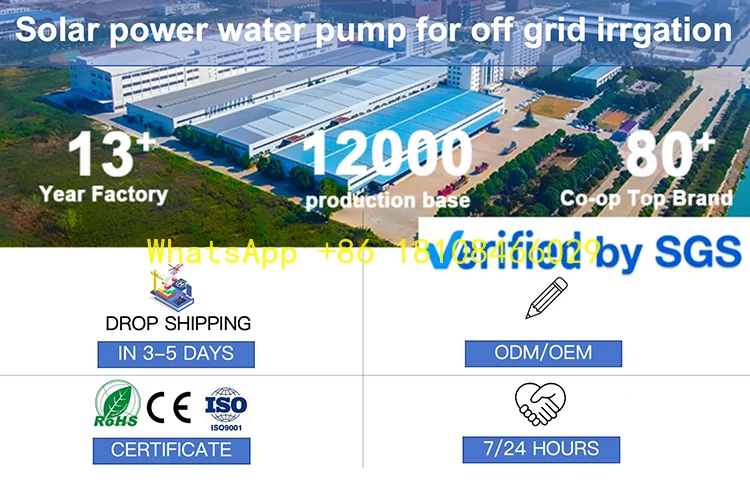 

Steel 3inch Discharge OEM Customizable Solar Water Pump for Agriculture Irrigation Low Pressure DC Motor Stainless