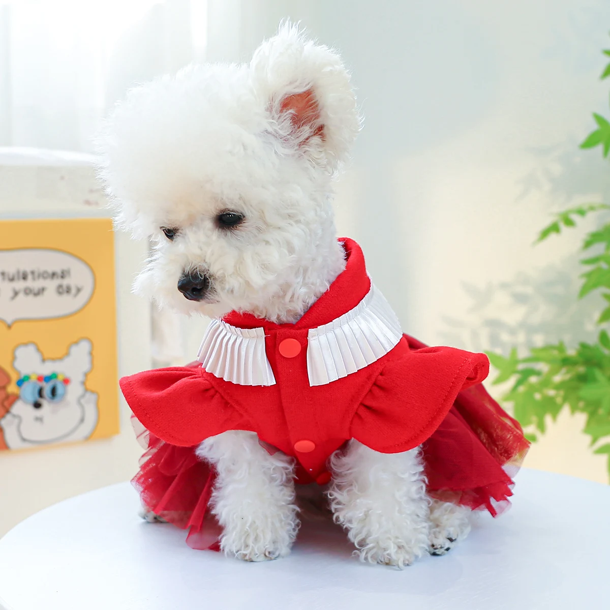 PETCIRCLE Dog Clothes Queen Wedding Dress For Small Medium Dog Puppy Cat Autumn Winter Pet Clothing Costume Pet Supplies Skirt