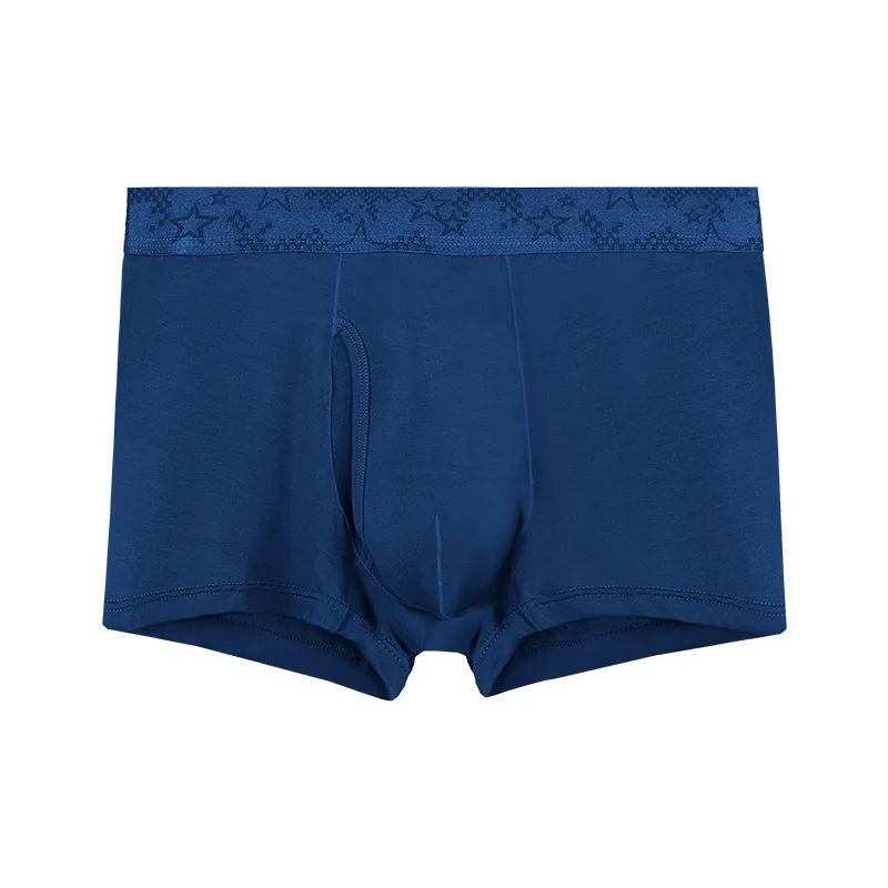 Boxer pour Homme, Sous-Vêtement en Modal, Culotte Solide, Respirant, Mathiation des Balles, Poudres de Pénis, JJ