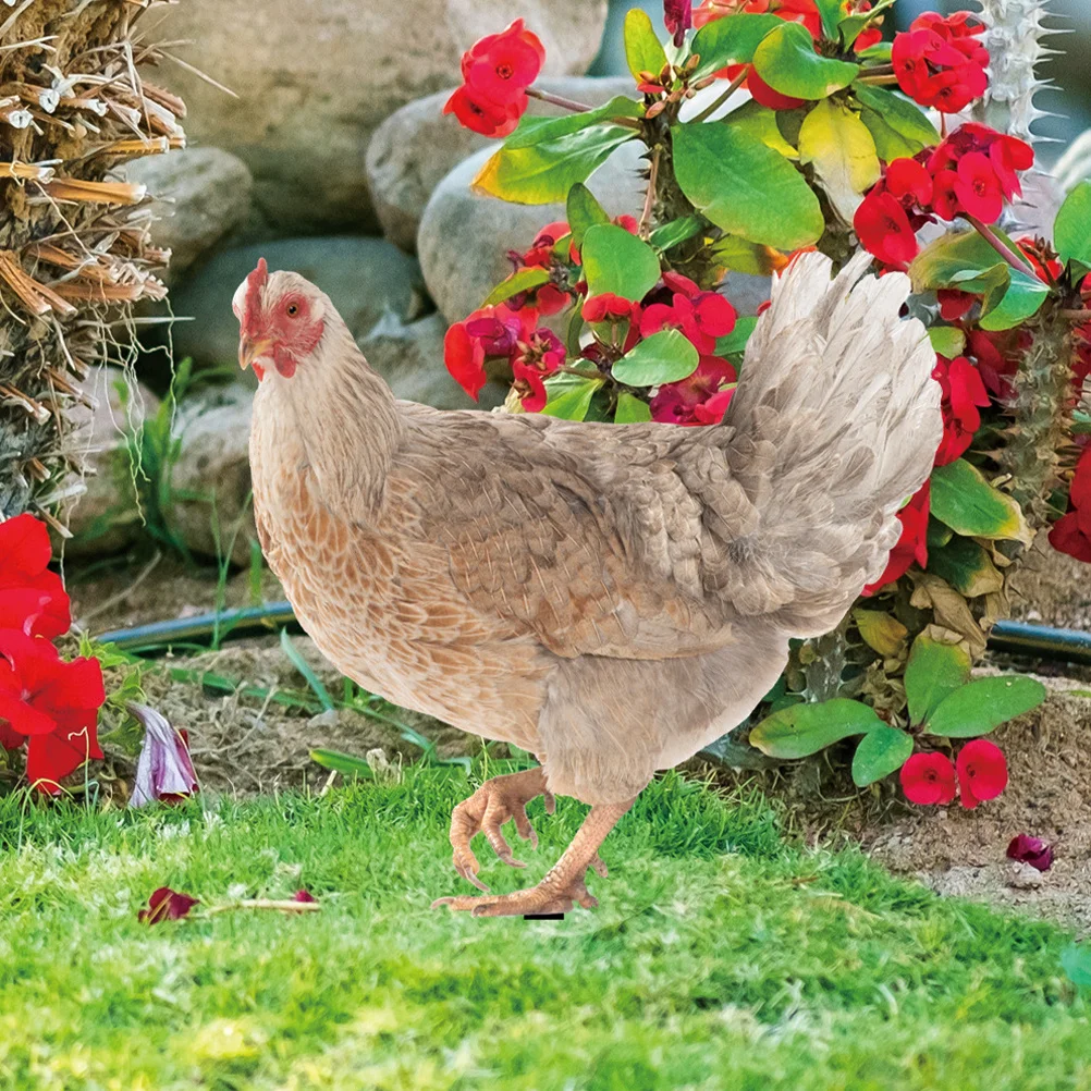 4pcs Acrylic Chicken Stake Art Hen Yard Decoration Yard Decoration Insert For Outdoor Lawn Garden Decor Stake Ornament
