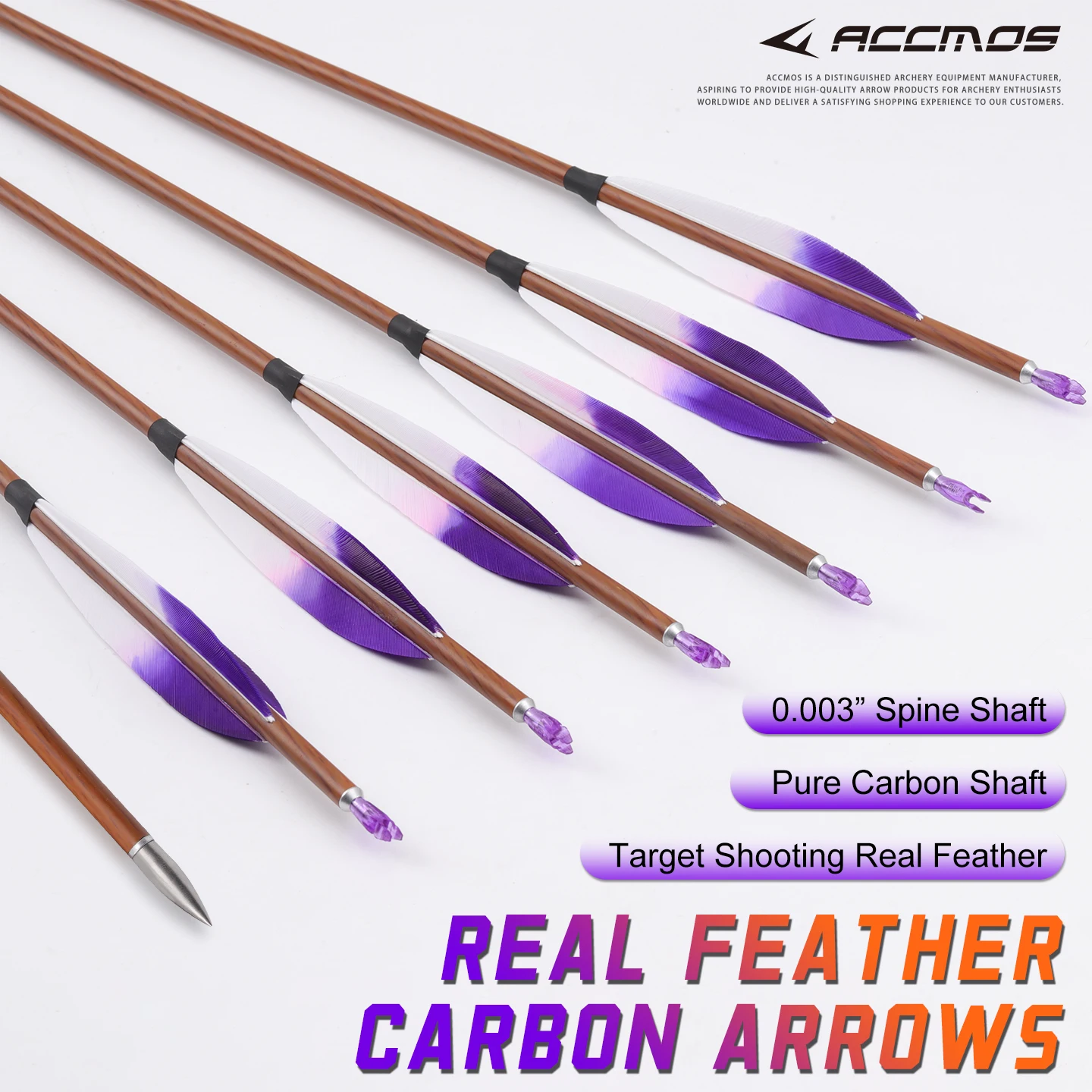 

Углепластиковая стрела 1 м для традиционного лука, диаметр 6,2 мм, для охоты и спорта на открытом воздухе, жесткость 400/500/600/700.