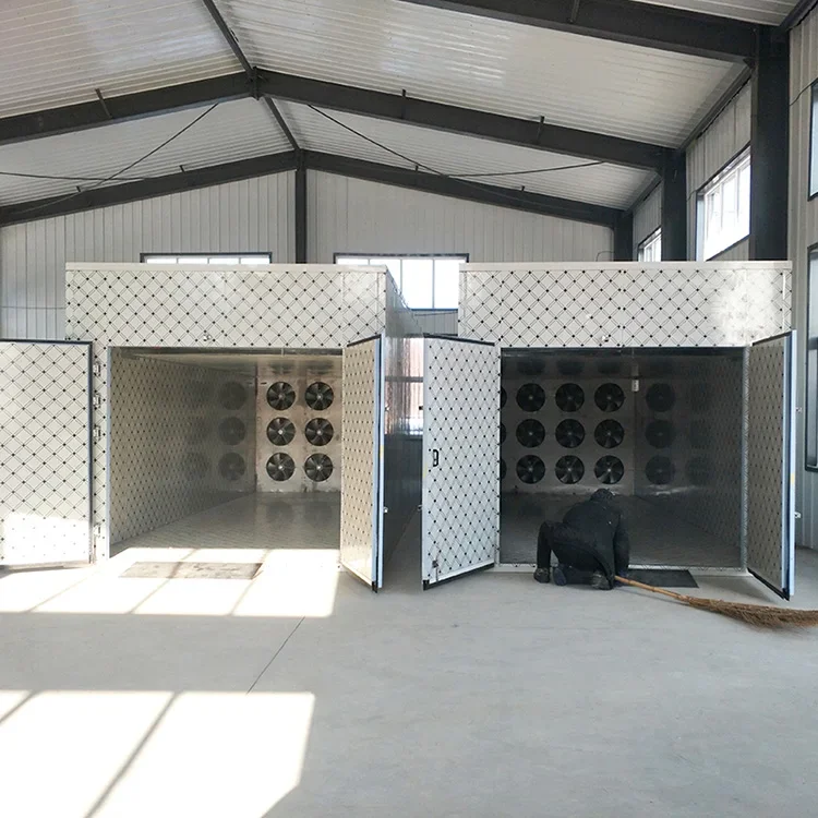 Banana Chips Drying Machine Fruit Drying Machine Food Dryer Machine