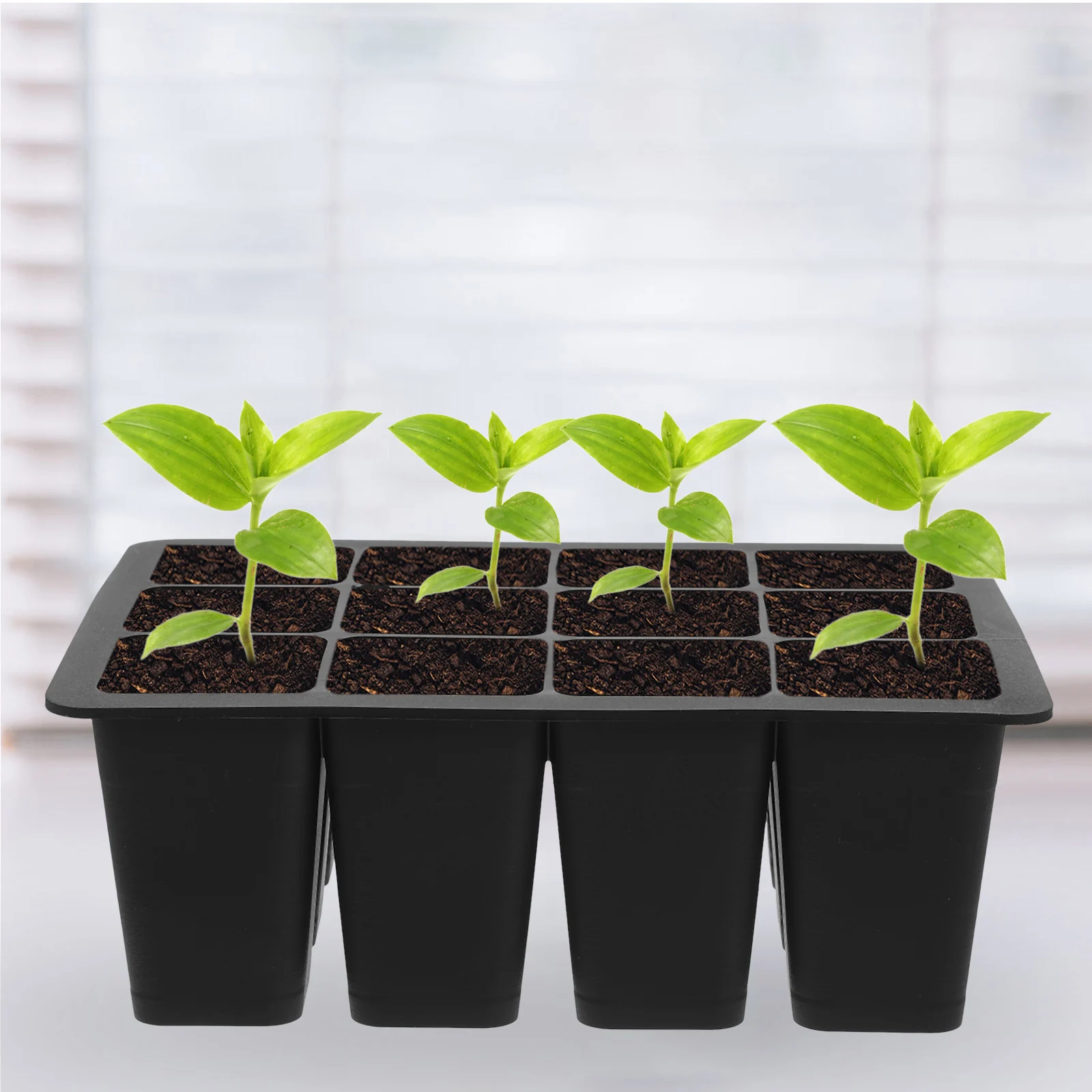 

starter tray germination tray nursery tray plant tray growing tray plant germination tray plant nursery tray