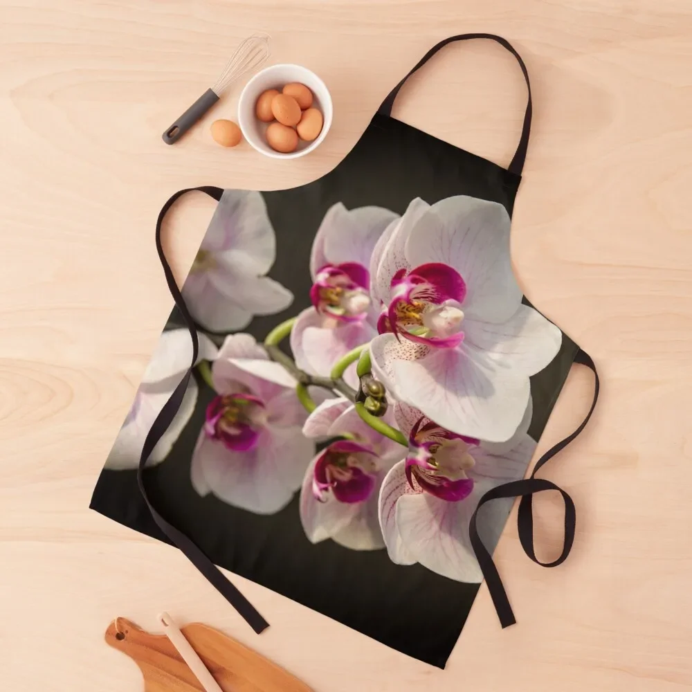 

Orchid Branch Apron Things For Kitchen Kitchen For Men kitchen clothes Man Apron