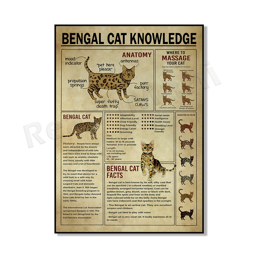 Vintage Bengal Cat Knowledge Canvas Poster, Bengal Cat Anatomy, Gift for Cat Lovers, Bengal Cat Lover, Cat Wall Art Wall Decor.