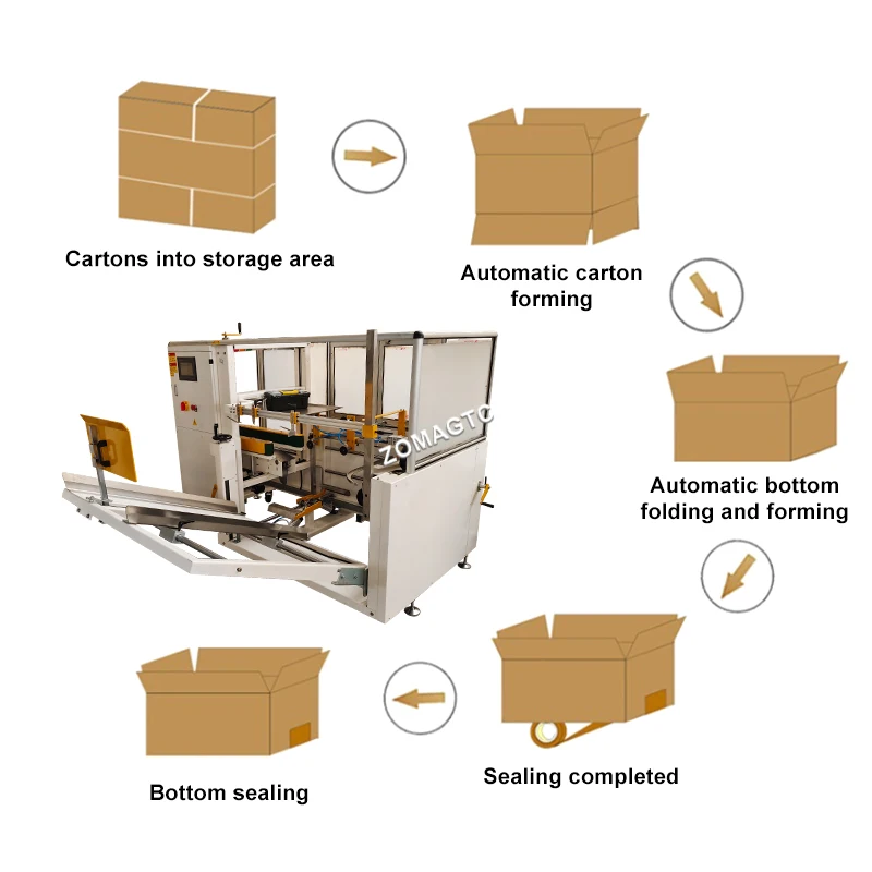 Automatic Integrated Into Packaging Lines Bottom Sealer, And Packer For Box Carton Erecting Carton And Case Erector Machine