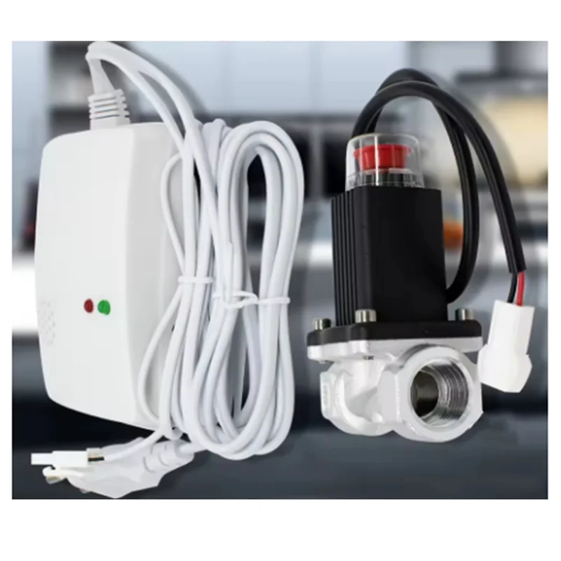 

A88E-Auto Monitor Gas Leakage Detector With Emergency Shut Off Solenoid Valves Natural/Liquefied Gas Alarm Sensor Standalone EU