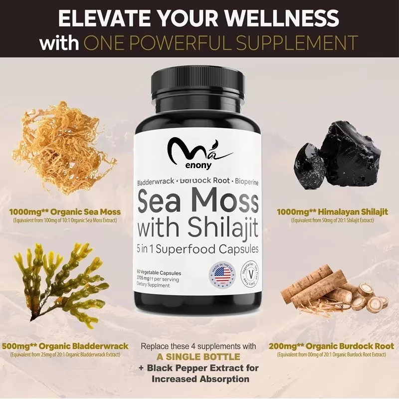 Meeresmoos mit Shilajit 5-in-1-Superfood-Mineralsupplement mit Blasenfolge, Klettenwurzel und schwarzem Pfeffer |   Verbesserte Absorption