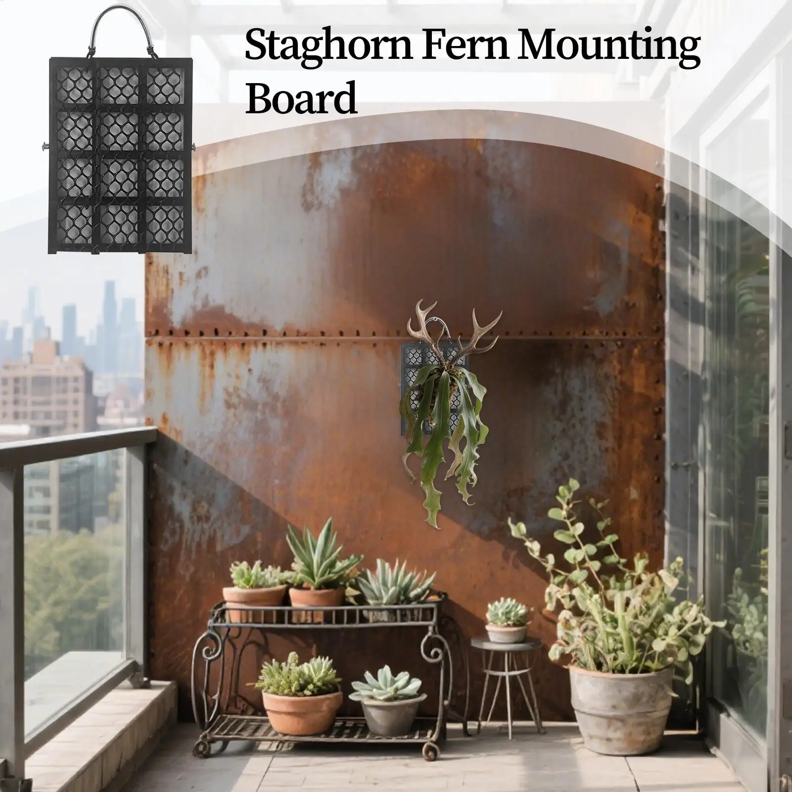 

Staghorn Fern Wall Planter Staghorn Fern Display Wall Planter Frame Platycerium Orchids Mount Home Decor For Garden Indoor