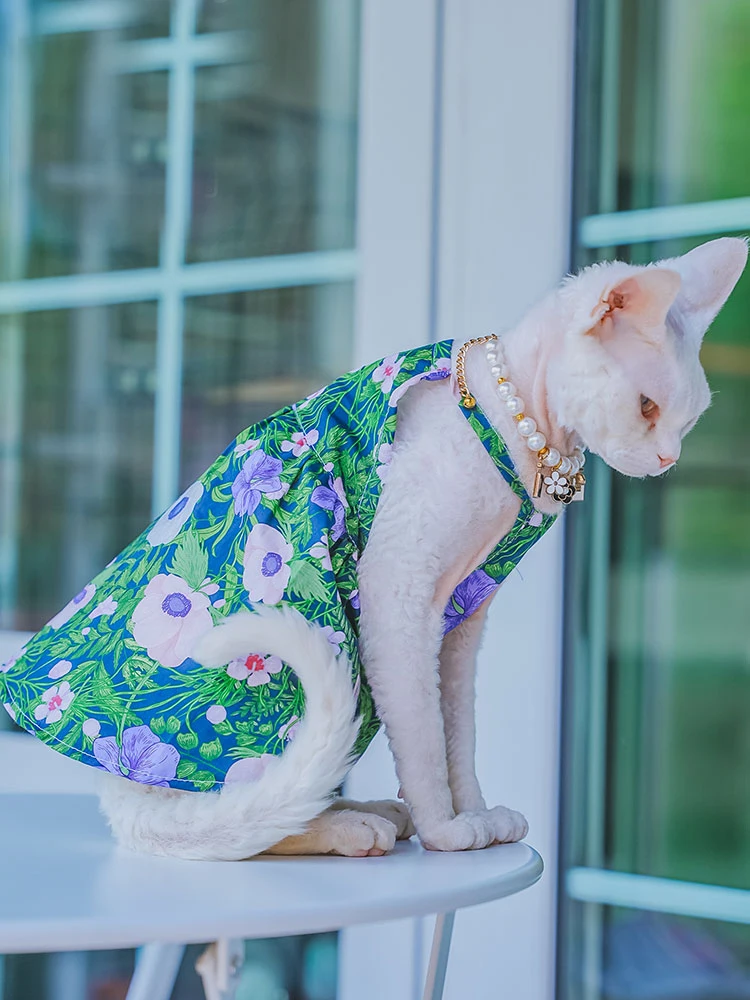 Colete de algodão para gato Sphynx, camiseta sem mangas para gatinhos, macacão macio para Devon Rex, primavera gato suprimentos, verão