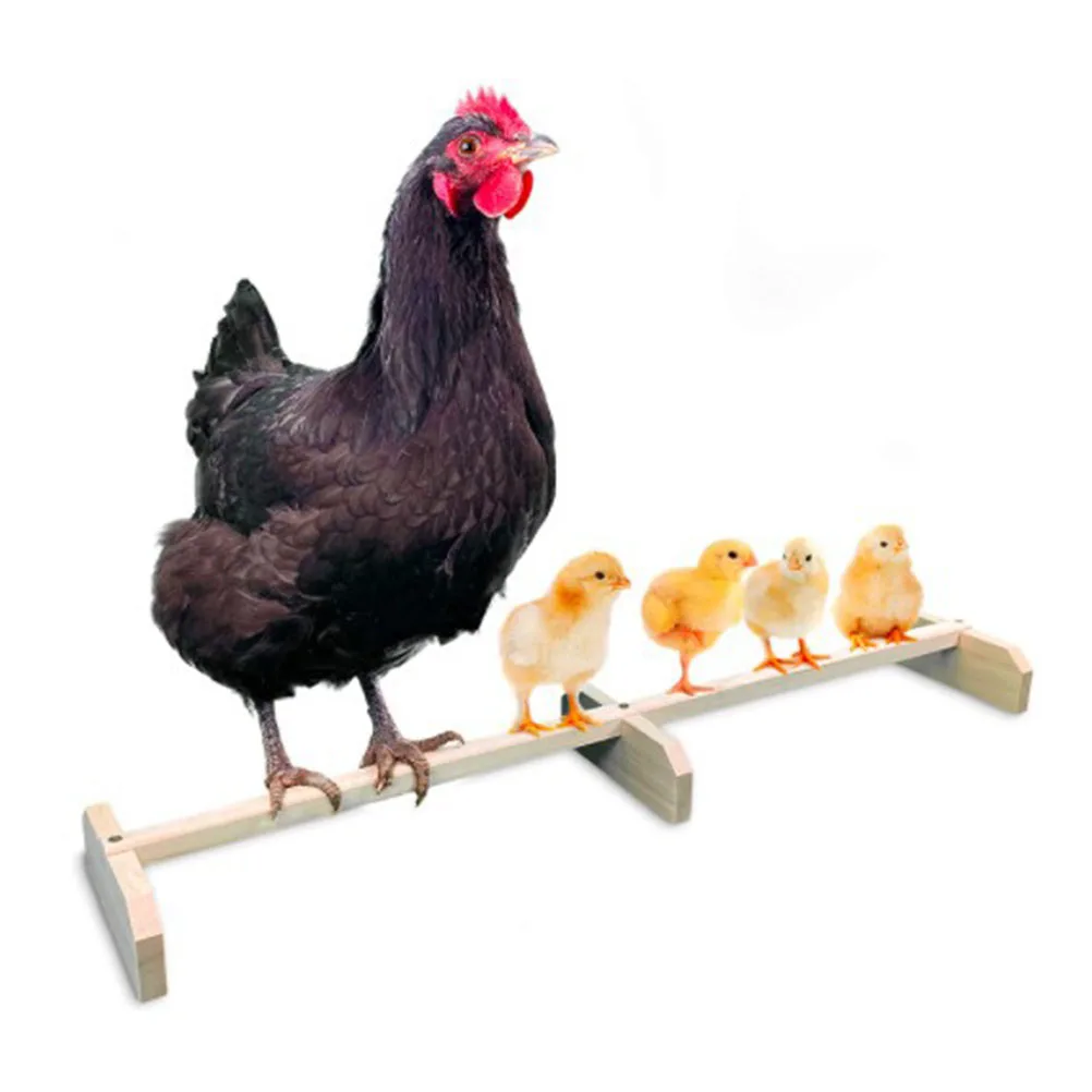 

Natural Wooden Chicken Perch Sturdy Roosting Bar Stand for Hens Macaw Parrot Pet Supplies Chicken Perch Bird Stand