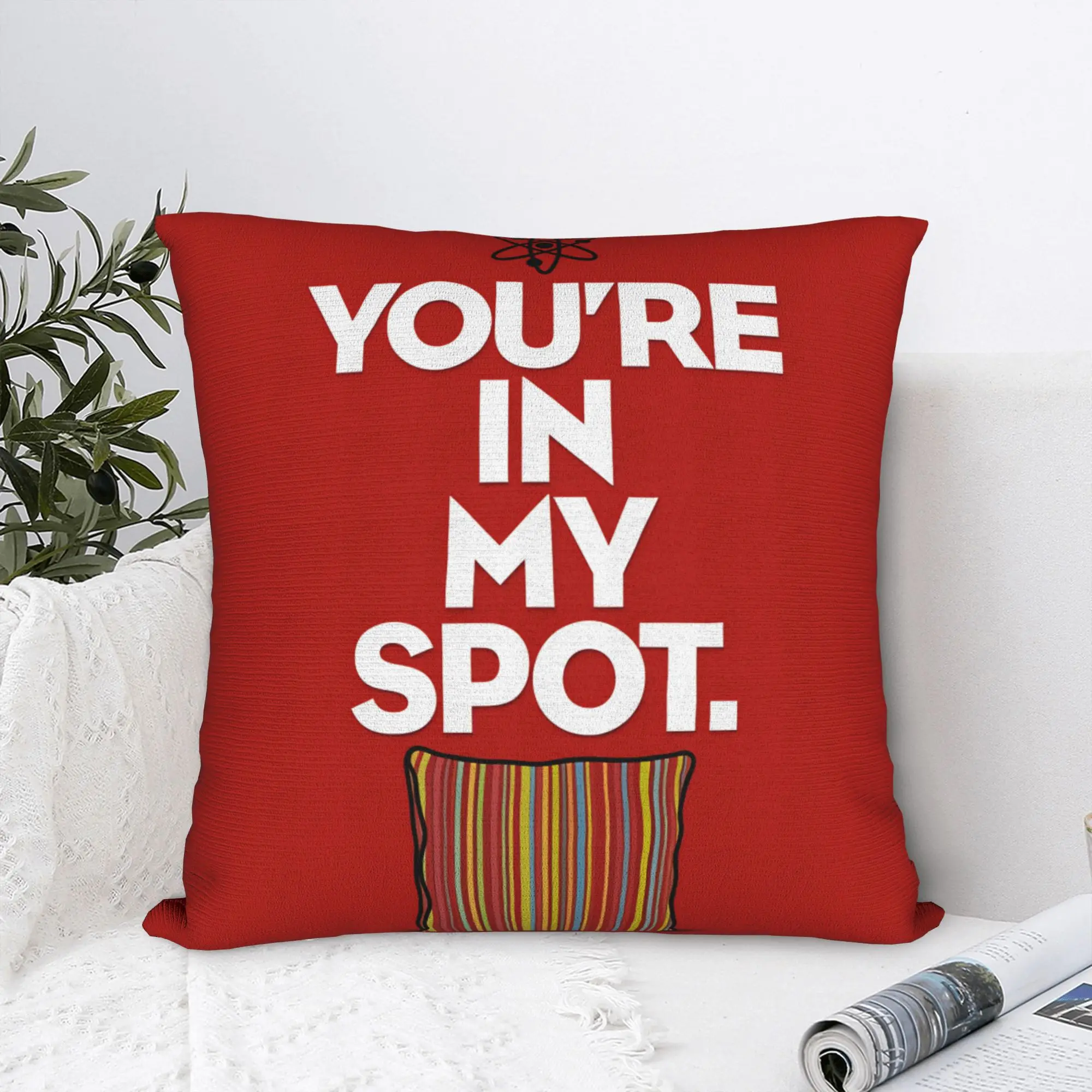 Pillow Case Funny TV The Big Bang Theory Soft  Pillow Cover For Couch Sofa Bedroom Kawaii Pillowcases