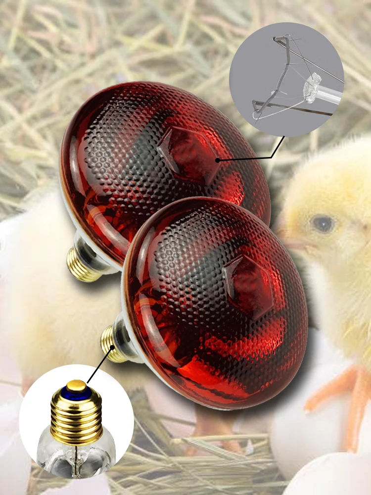 

BBD Par38 Bulb Suitable for Livestock Heating, Food Insulation 110V 220V