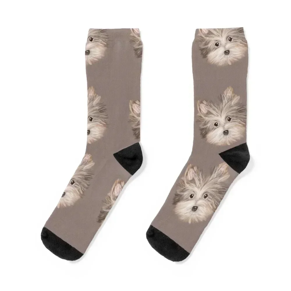 

Biewer terrier dog Socks Wholesale Soccer hiking christmas stocking Boy Child Socks Women's