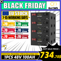 48V 100Ah LiFePO4 Akku Grade A 5120Wh Battery Pack with 16S 100A BMS Long-Lasting Performance EU Stock Reliable ESS Solution