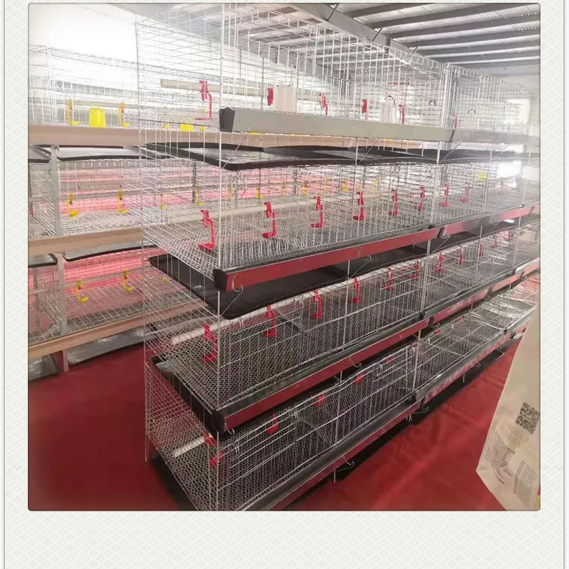 

Chicken Raising Equipment Chicken Cage, Small Chicken Cage, Bold Feeding Trough, Cage Four Layers