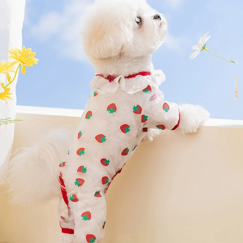 2026 Teddy Strawberry Four Leg Clothes Summer Breathable Mesh Dog Clothes Bichon Frise Mosquito Protective Cover