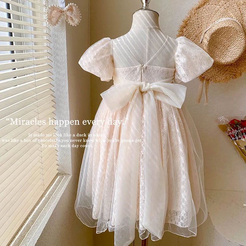 Girls Mesh Dress Baby Sweet Lace Flower Elegant Princess Dress Christmas Birthday Party Gown Ball Kids Clothes Vestidos 2-10Y