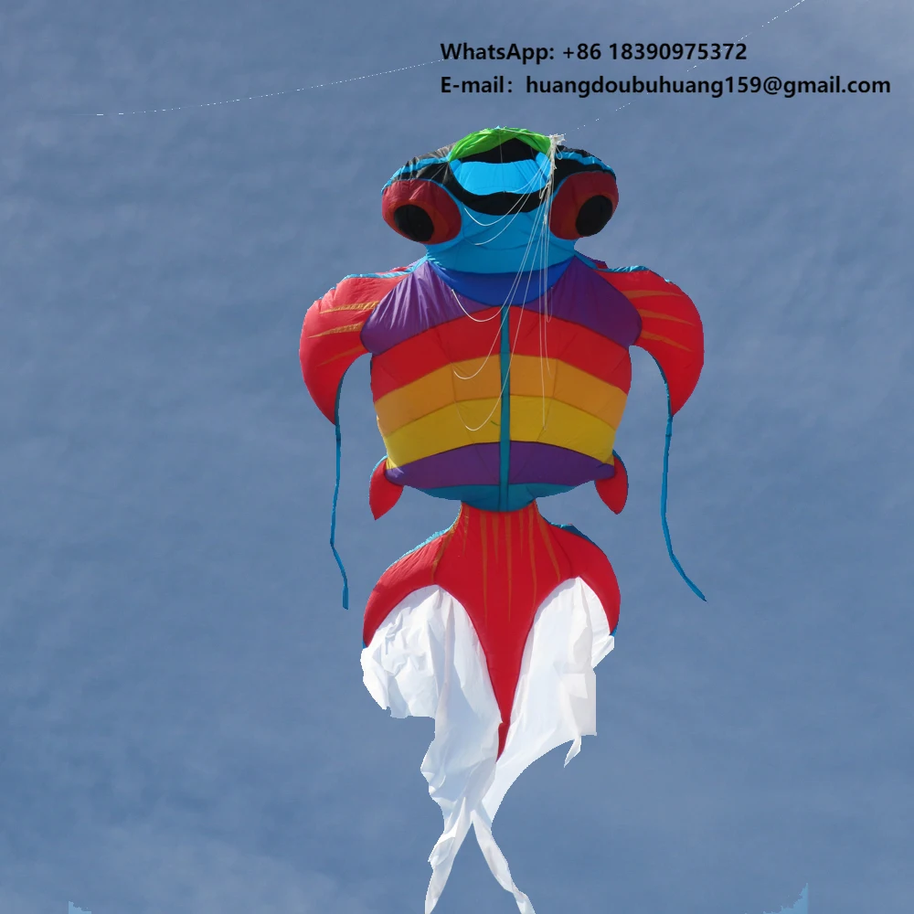 

Высококачественный надувной воздушный змей