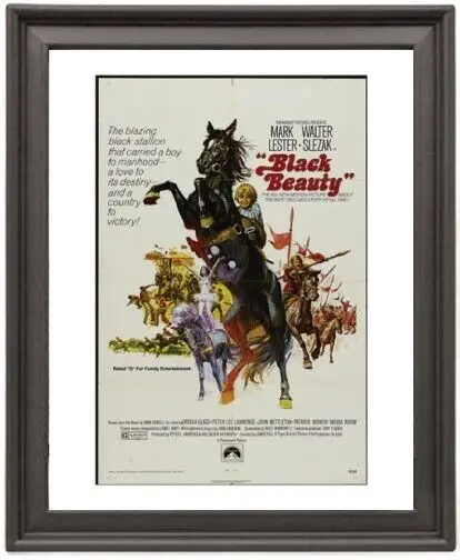 

Framed Poster Black Beauty Poster Photo Paper Print Picture Frame 16x12 inch