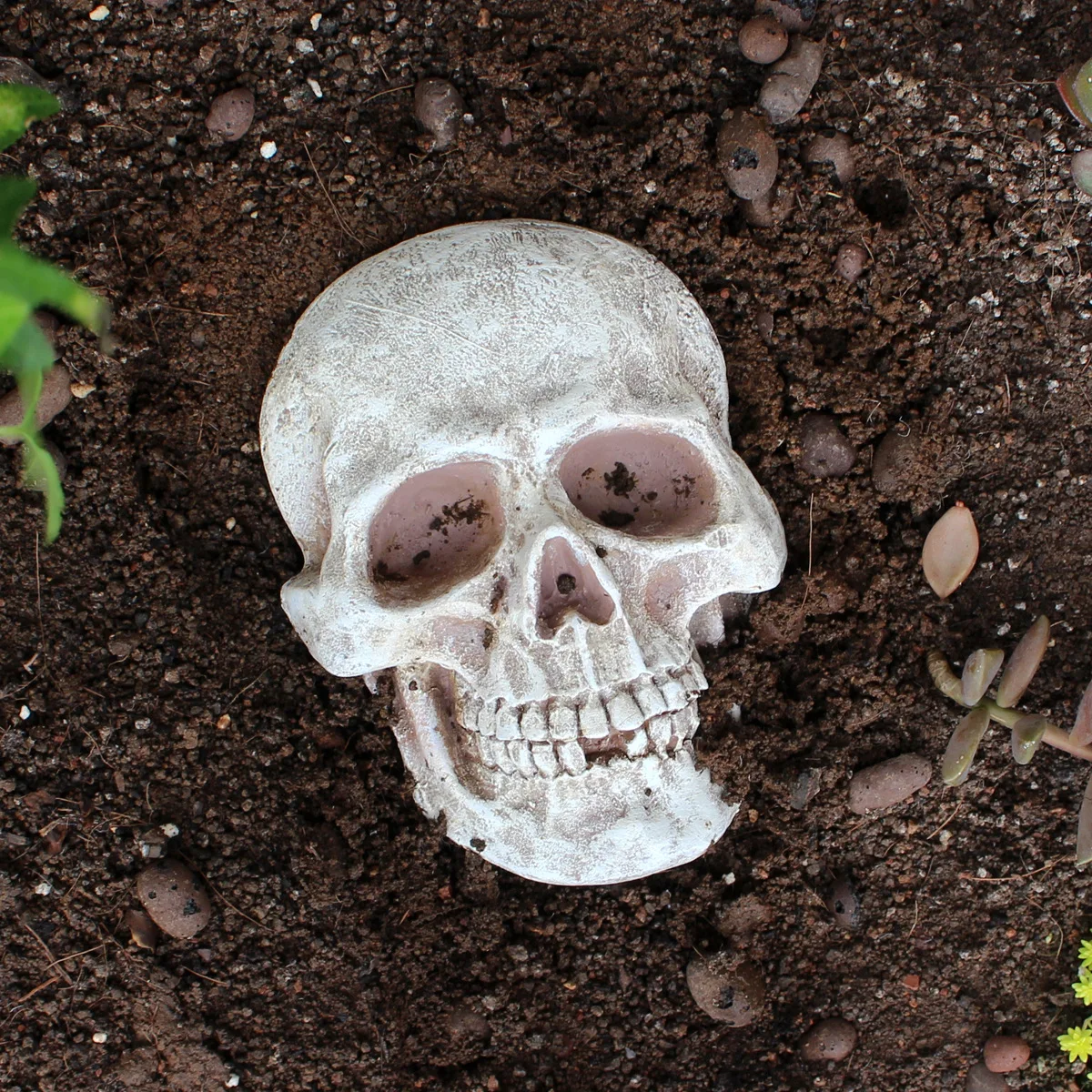 ‌Resin Skull Wall Decor- Gothic Halloween Ornament for Home & Garden‌
