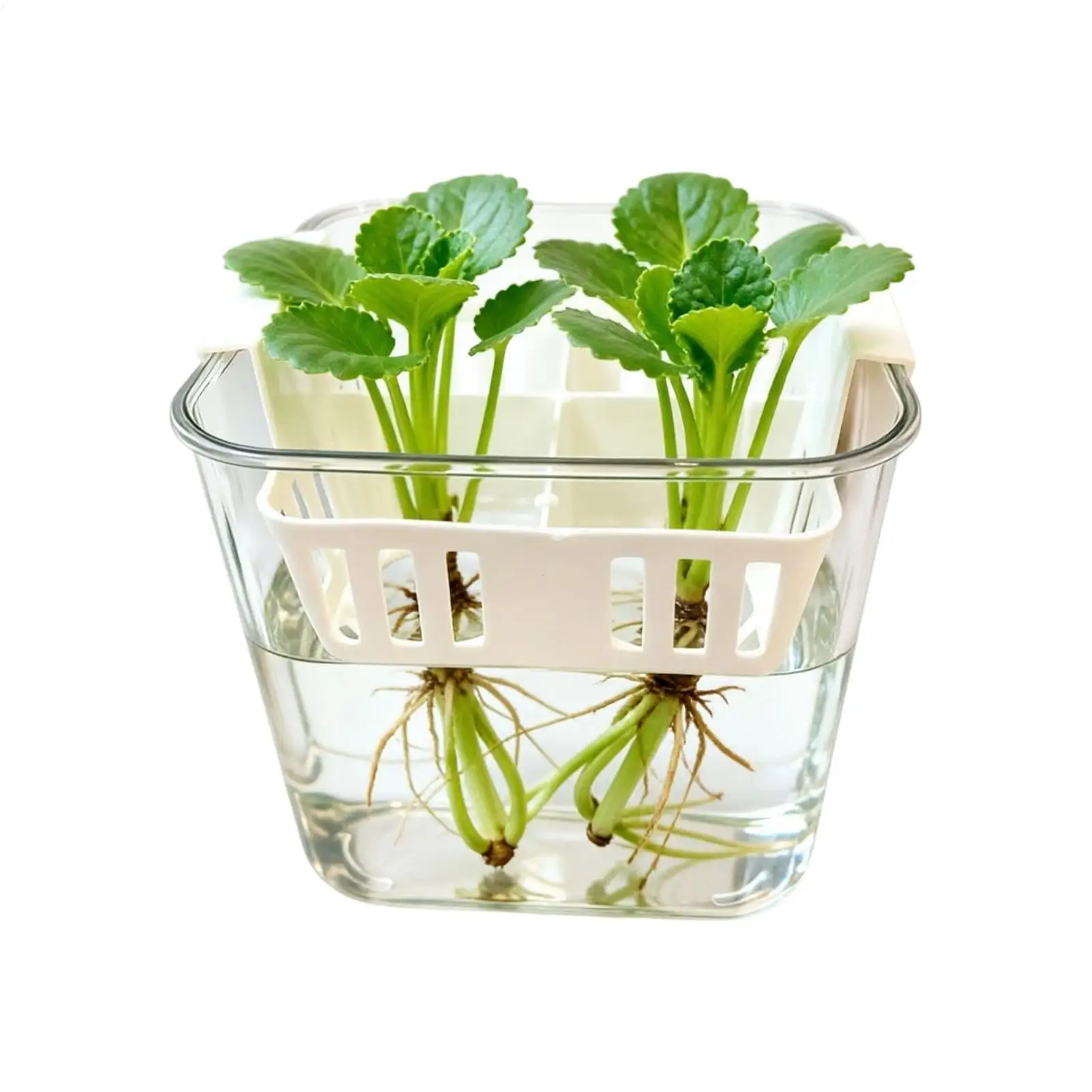 4-Grid Clear Double-Layer Flower Containers Net Pots Grow Pots Propagated Plant Holders Special hydroponic containers for Indoor
