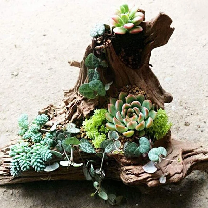 

A79Z-Large Natural Driftwood Branches Reptiles Aquarium Fish Tank Decoration Fish Tank Cave Hideout Wood Decor Driftwood