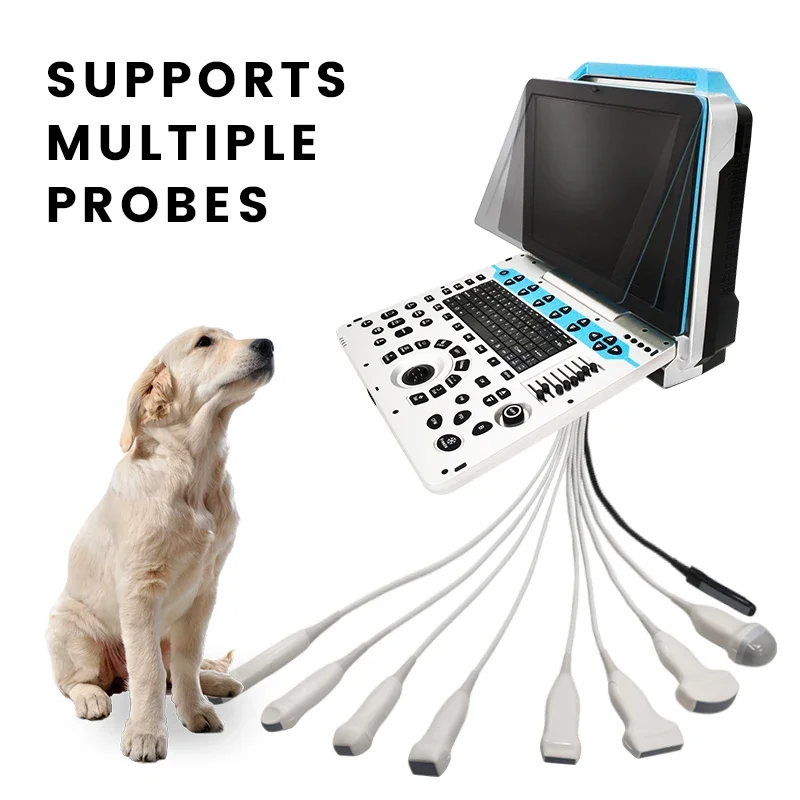 15 Inch Pet Hospital Laptop Doppler B-Ultrasound Scanner Canine PW Sonar Machine Dog Cat Testing Machine