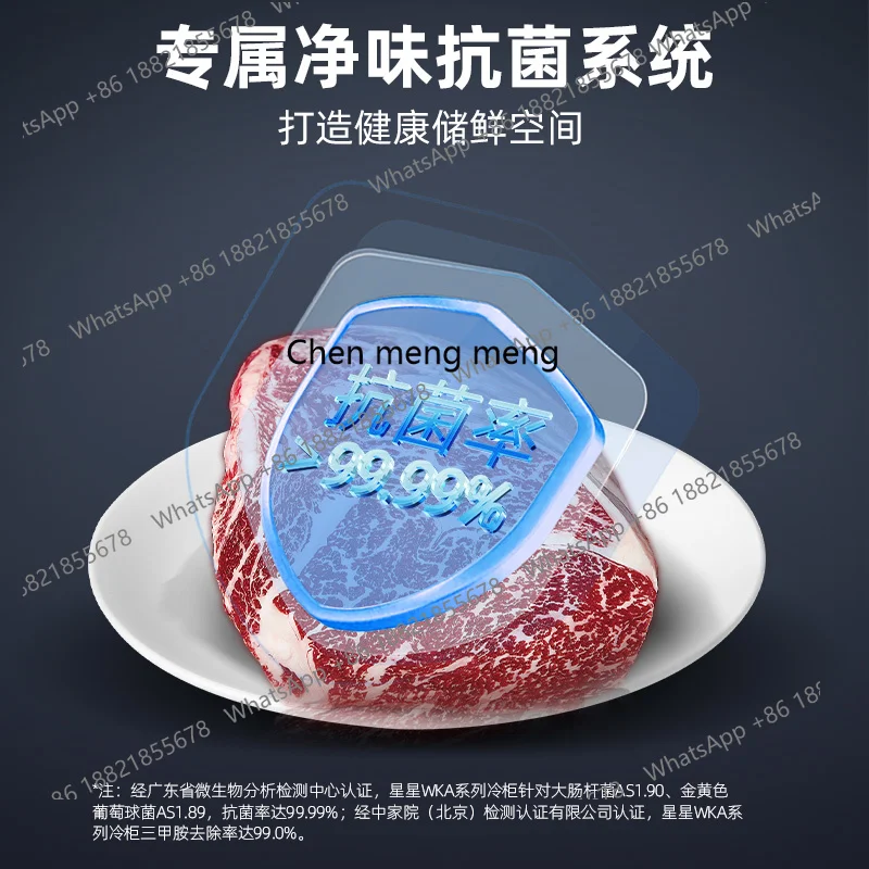 Congelador comercial doméstico pequeno refrigerado e congelado de dupla finalidade horizontal de grande capacidade e congelado