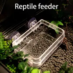 Reptile Pet Feeder,Suction Cup, Fixed, Detachable Clear Food Bowl, Worm Live Container, Lizard, Gecko Crawling Pet Bowl