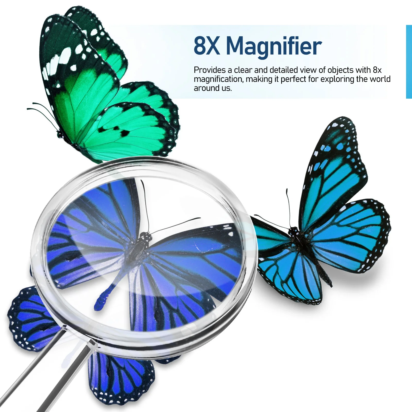 

16Pcs Children's Magnifying Glasses 8X Handheld Magnifier Set for Reading Repair Crafting Science Exploration Portable Elderly