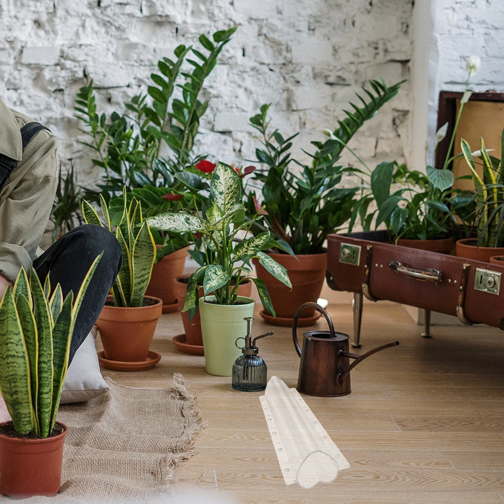 

2Pcs Cucumber Forming Molds Star Heart Shape Fruits Easy to Use Transparent Growing Supplies Cucumber Shaping Molds