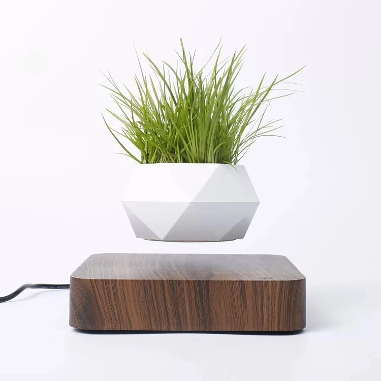Maglev flower pot high-rise potted plant green plant desktop living room gift
