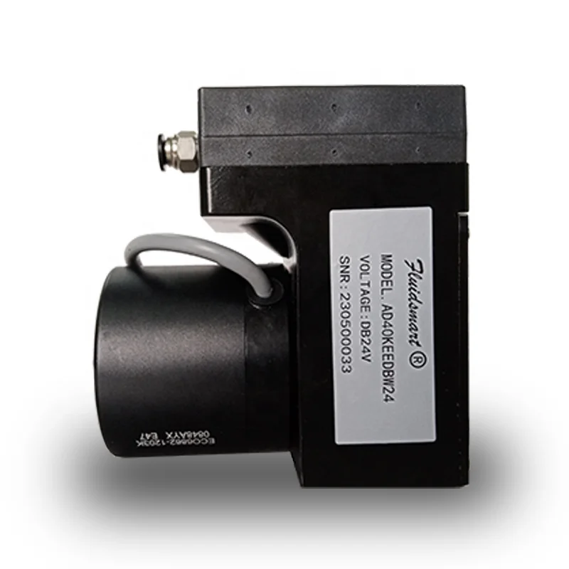 Highcapacity DC Brushless Motor Small Gas Diaphragm Vacuum Pump 12V 24V Silent Micro Vacuum Pump Air Pump