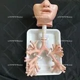 1:1 Bronchoscopy Training Model with Resin Bronchial Tree for Flexible Endoscopy Practice in Medical Education
