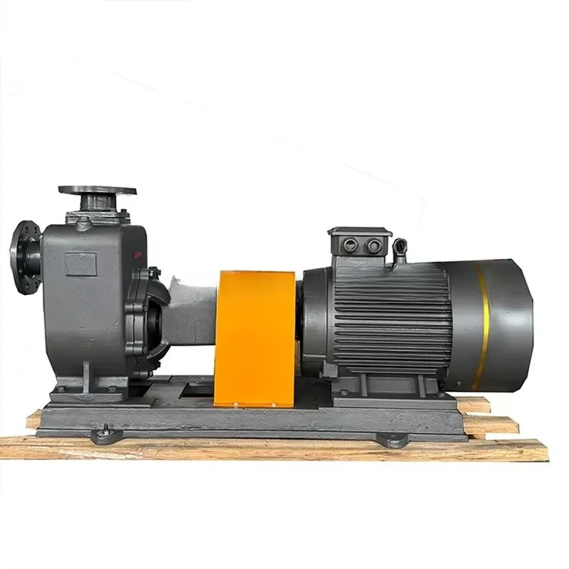 Self-priming pump, horizontal sewage/clear water pump/cast iron pump, stainless steel, 304/316, can be customized centrifugal