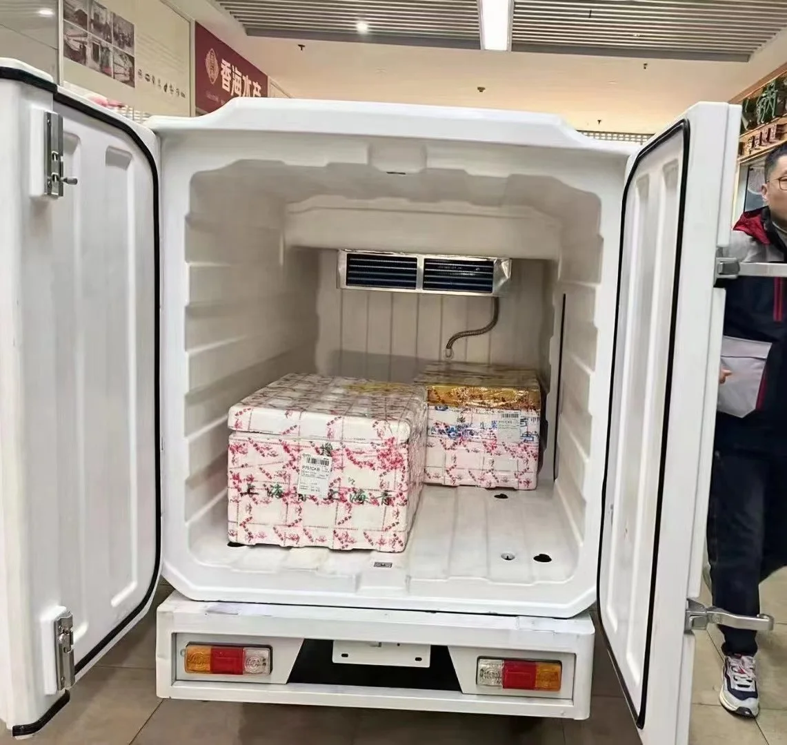 Mini Mobile DC Freezer 220V Engine Vehicle Refrigerator for Farm Food Shop & Hotel Cold Room Storage